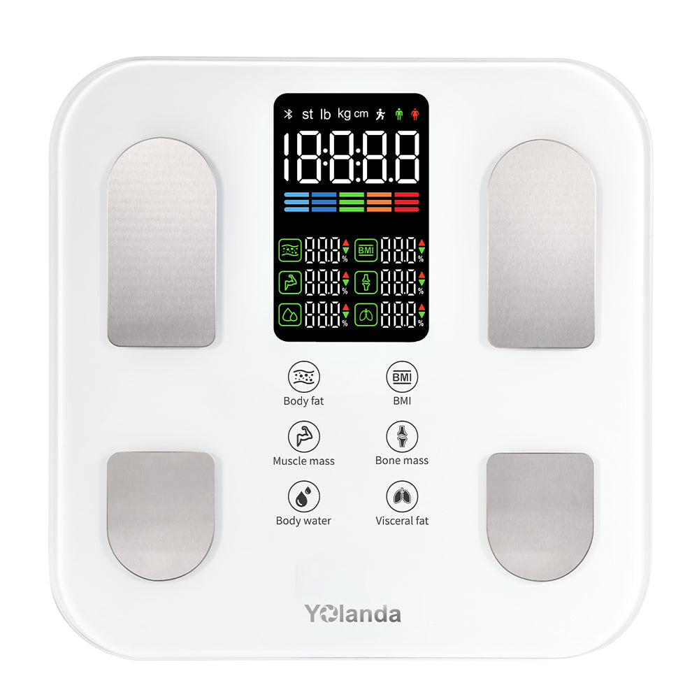 Body Fat Scale 28008