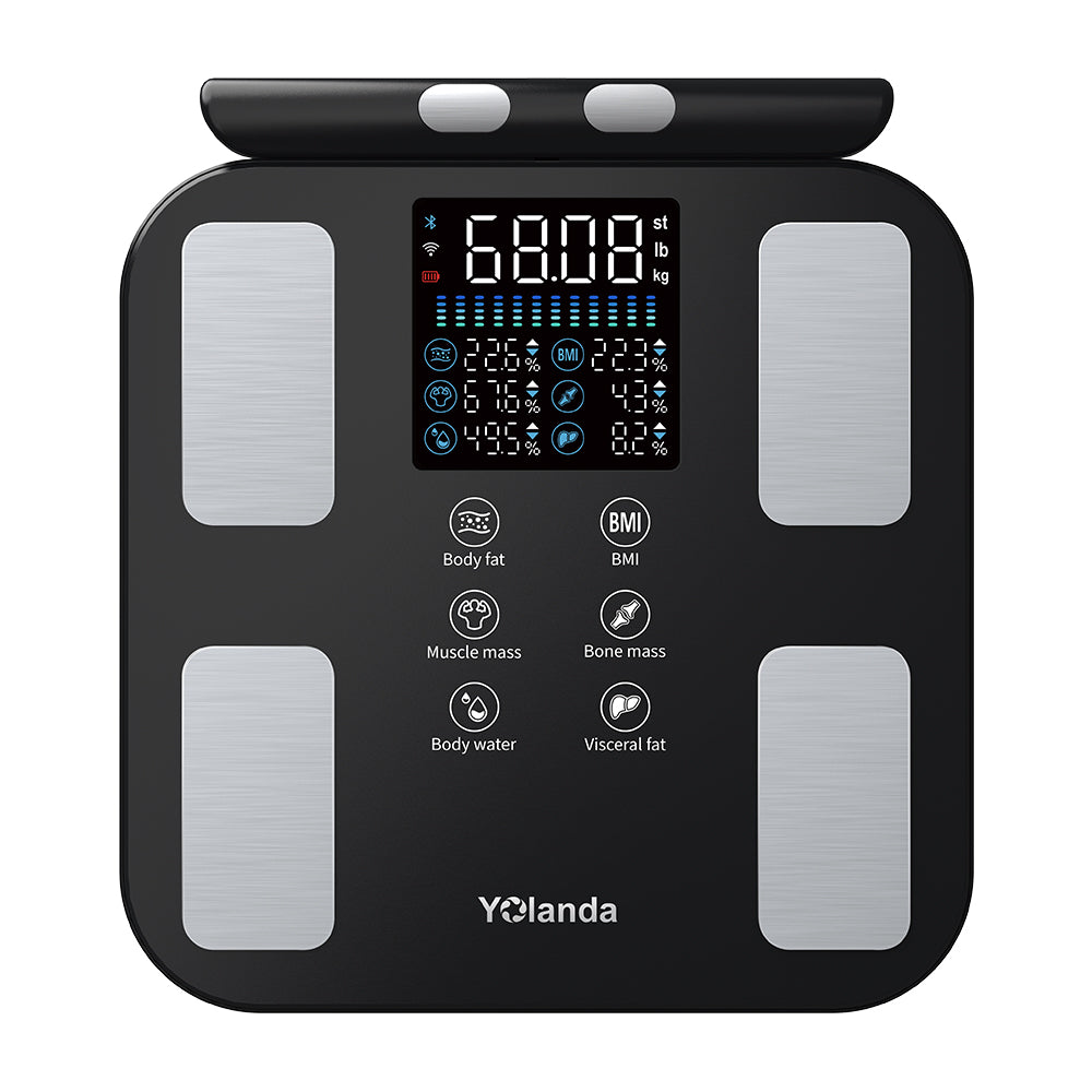 8 Electrode Body Scale 28501