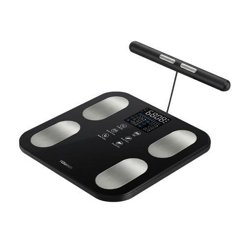 8 Electrode Body Scale 31006
