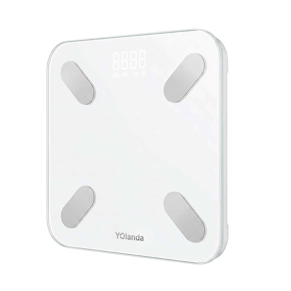 Body Fat Scale 28017