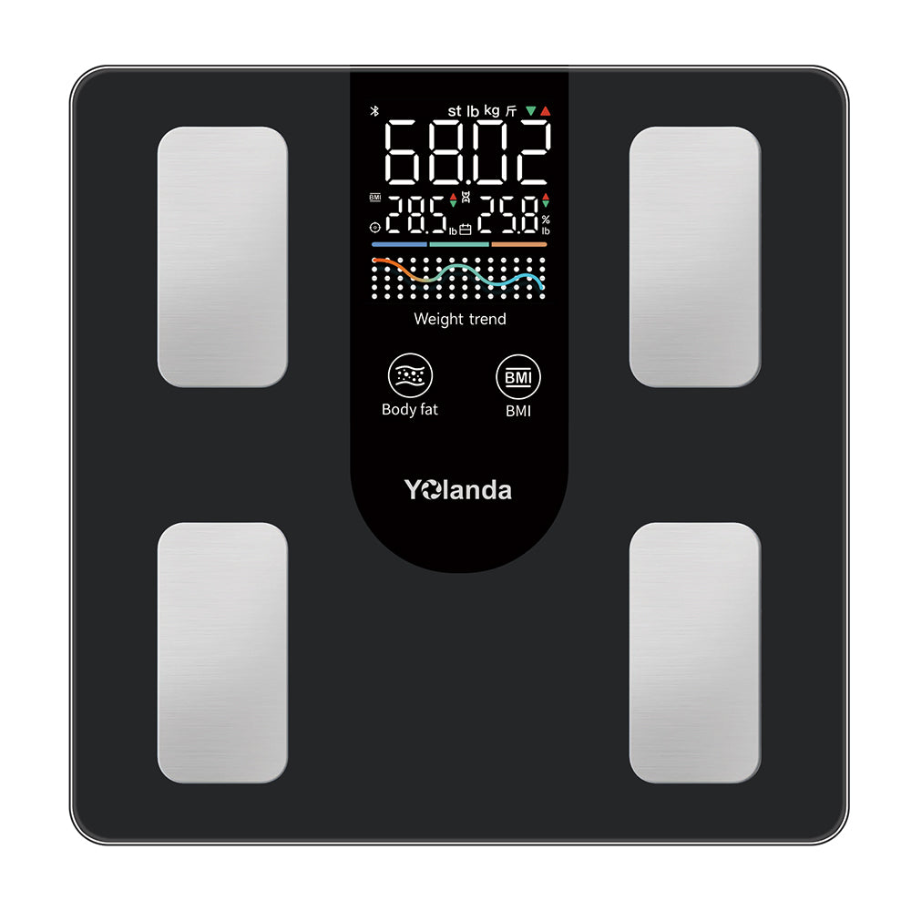 Body Fat Scale 30011