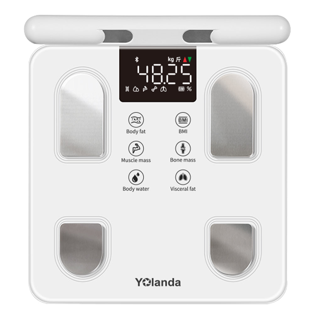 8 Electrode Body Scale 31002