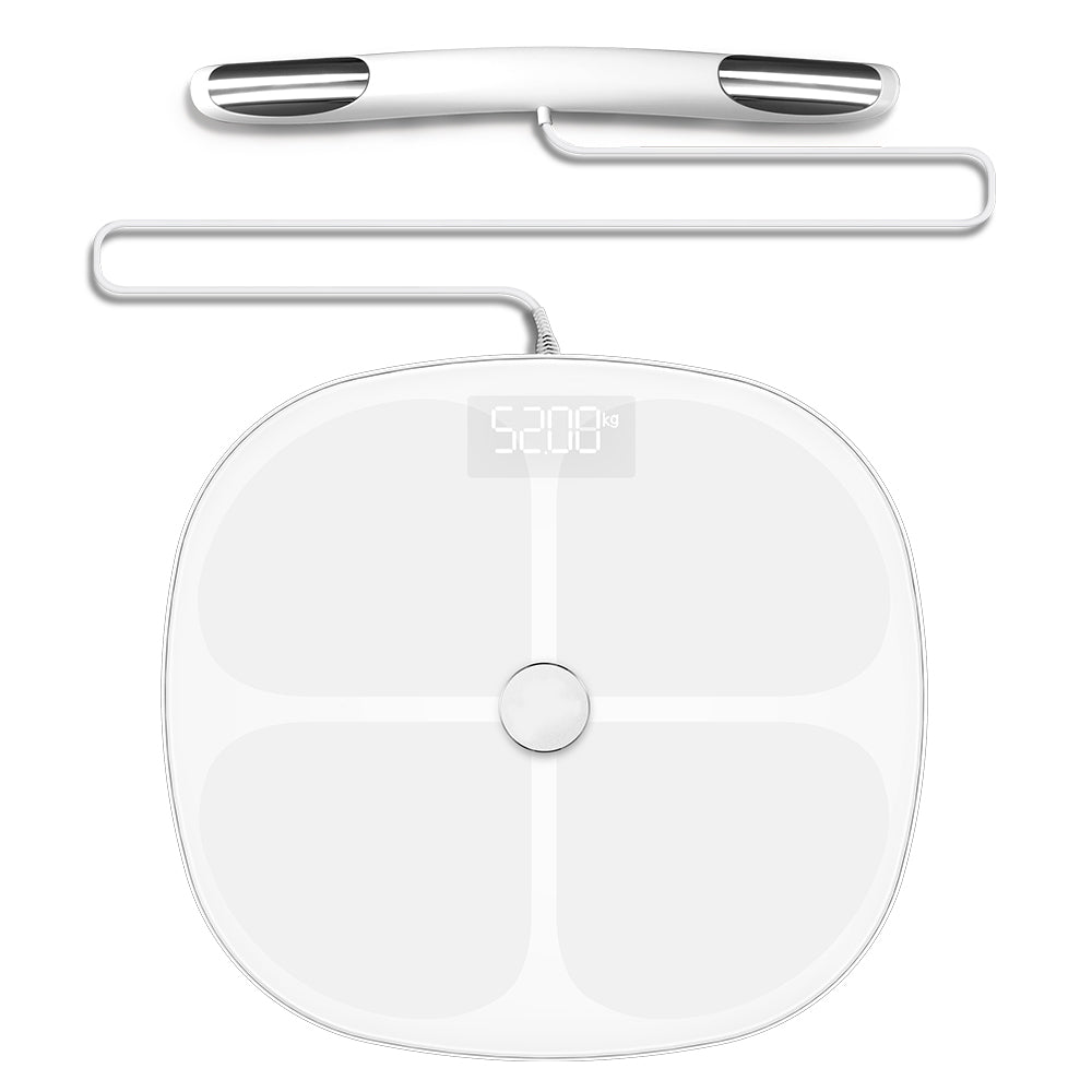 8 Electrode Body Scale 32002