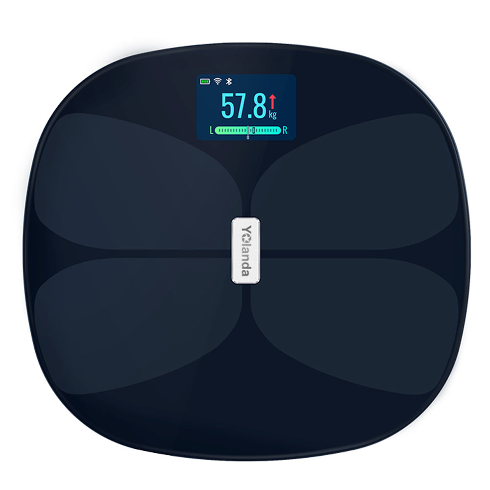 Body Fat Scale 32005