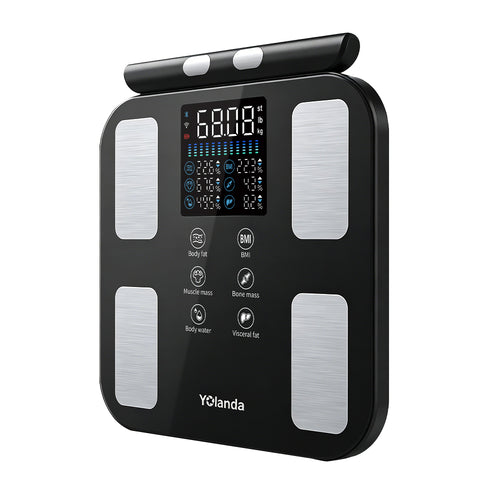 8 Electrode Body Scale 28501