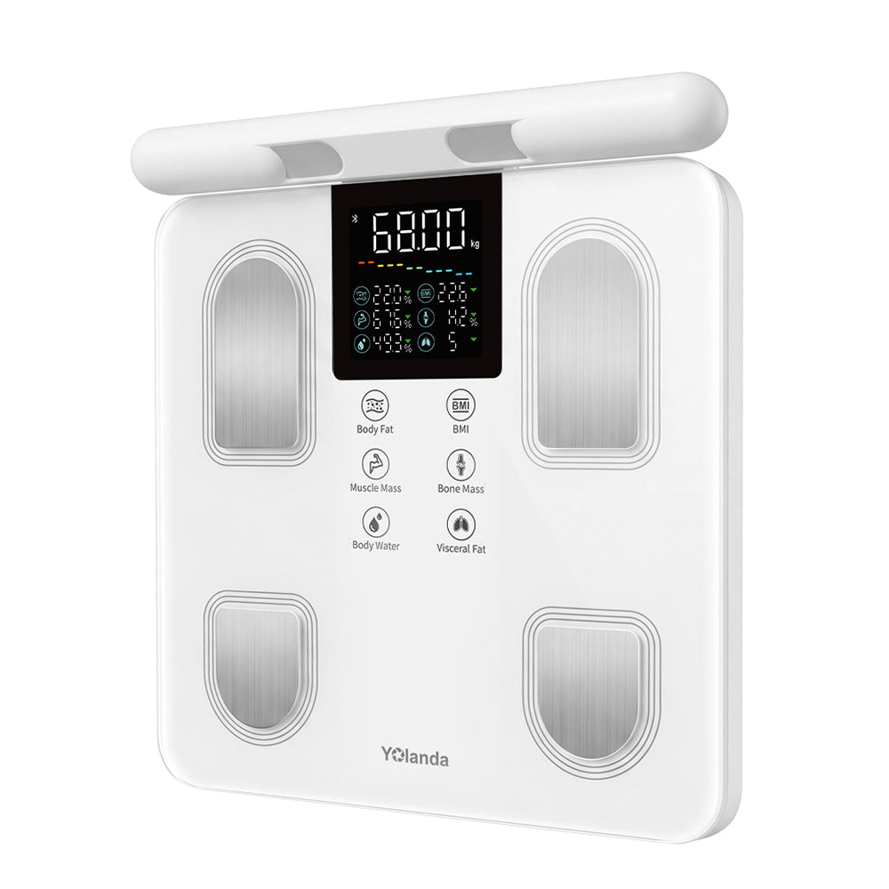 8 Electrode Body Scale 31002