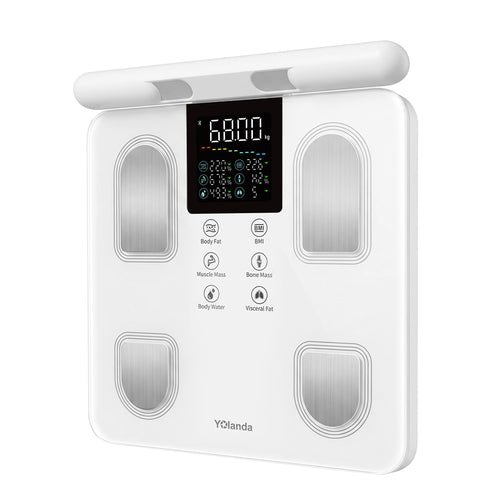 8 Electrode Body Scale 31002