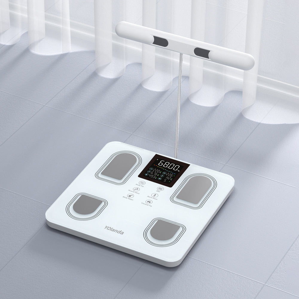 8 Electrode Body Scale 31002
