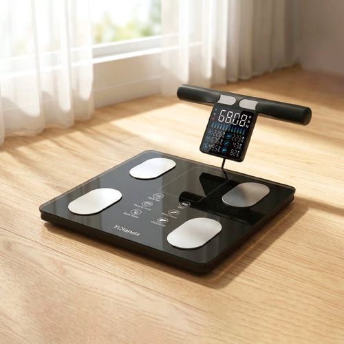 8 Electrode Body Scale 30013