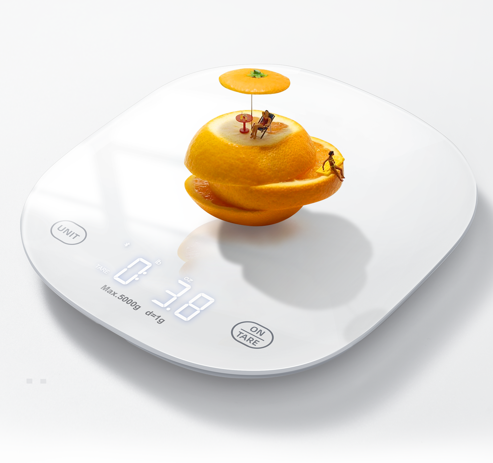 Kitchen Scale 21001