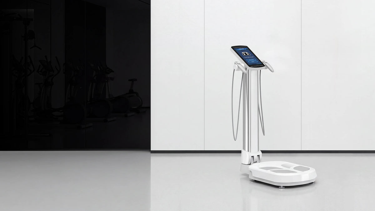 Yolanda professional body composition analyzer for gym and clinic body assessment